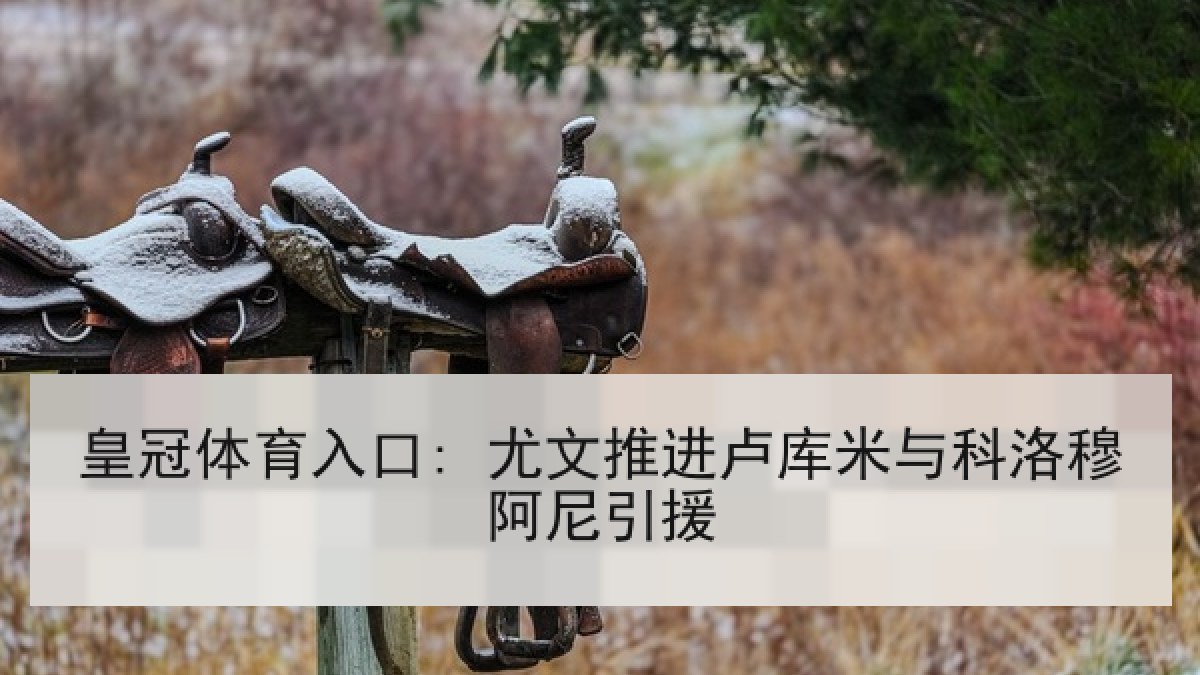 皇冠体育入口: 尤文推进卢库米与科洛穆阿尼引援