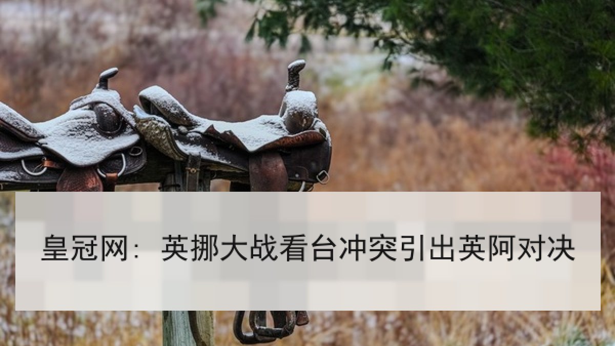 皇冠网: 英挪大战看台冲突引出英阿对决